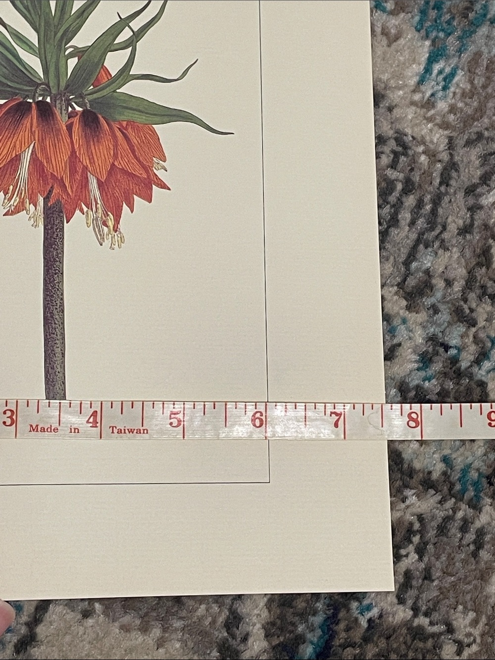 🖤5/$25 vintage botanical flower print - Picture 7 of 8
